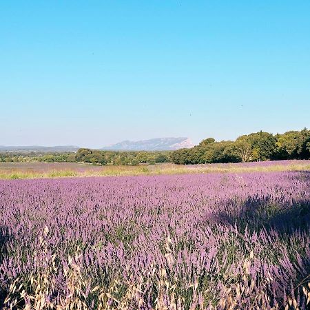 Maison Francoise Bed & Breakfast Aix-en-Provence Exterior foto