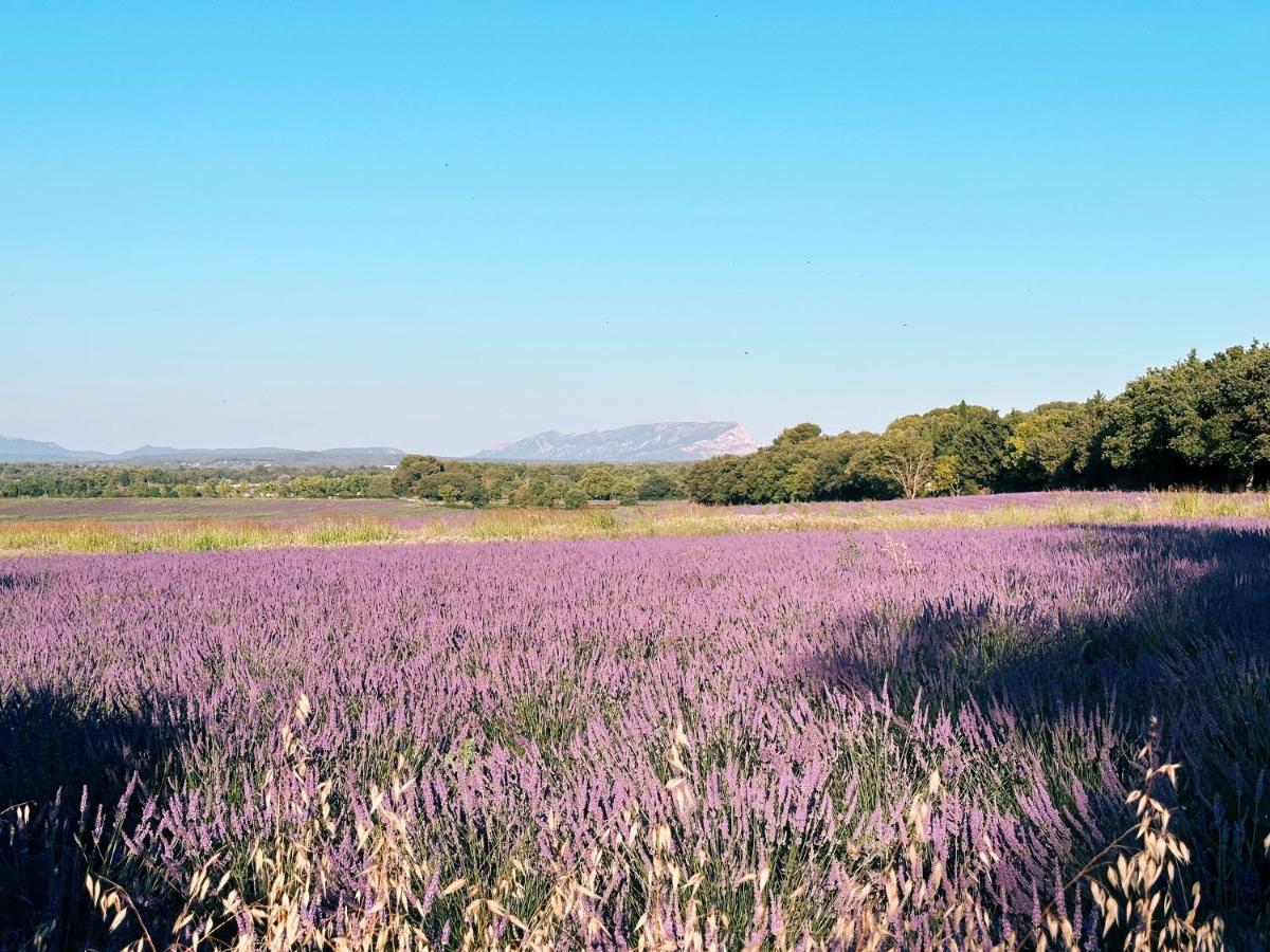 Maison Francoise Bed & Breakfast Aix-en-Provence Exterior foto