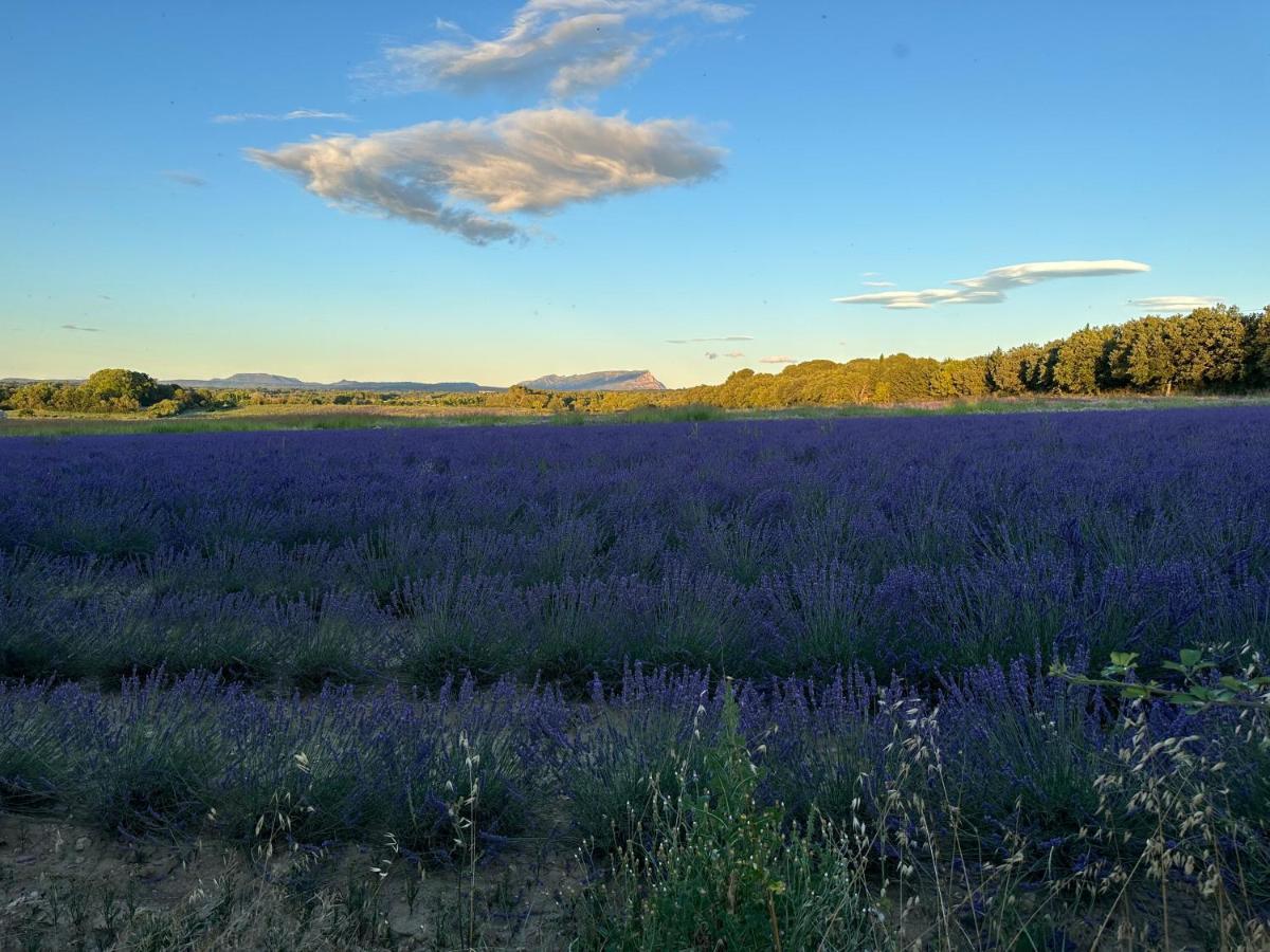 Maison Francoise Bed & Breakfast Aix-en-Provence Exterior foto