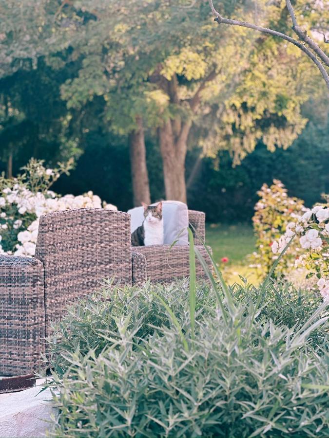 Maison Francoise Bed & Breakfast Aix-en-Provence Exterior foto